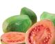 Guava Concentrate Health Benefits